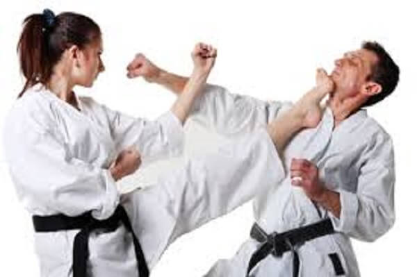 effective style guide of killer karate top secret ninja news