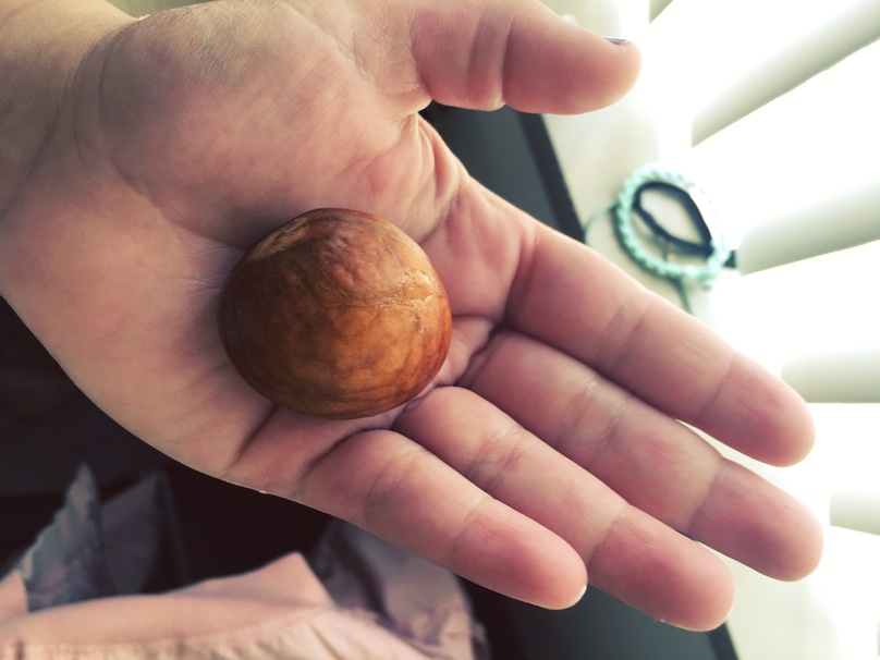 Using Nutmeg to Hallucinate nut nutmeg