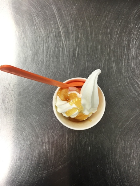 Frozen Yogurt sweet caramel