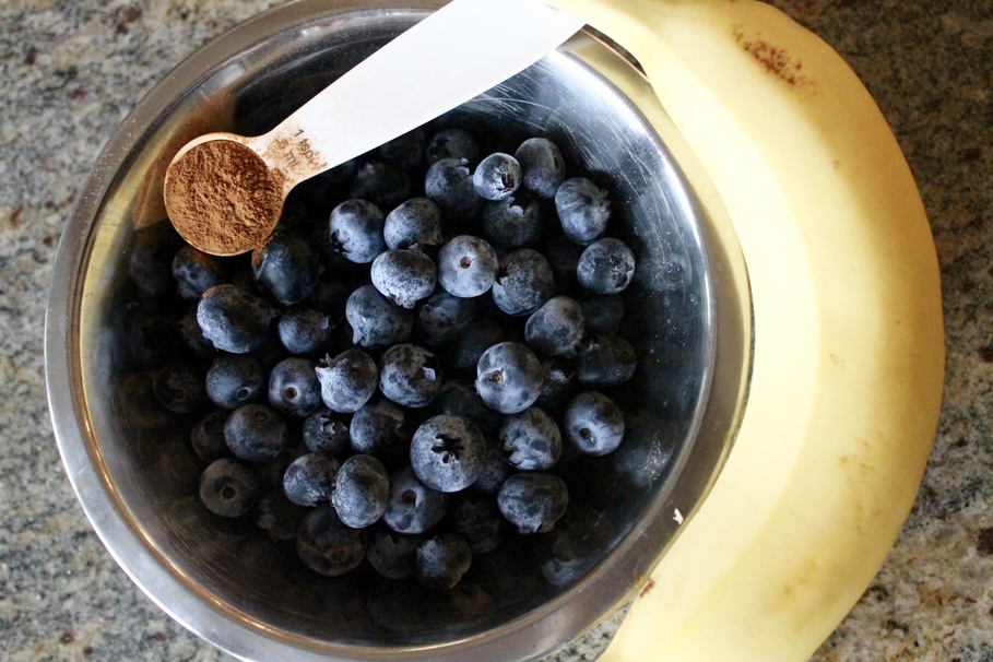 blueberry, berry, sweet, bilberry, pasture