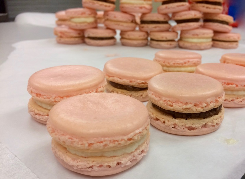 cake, cream, chocolate, candy, sweet, pastry