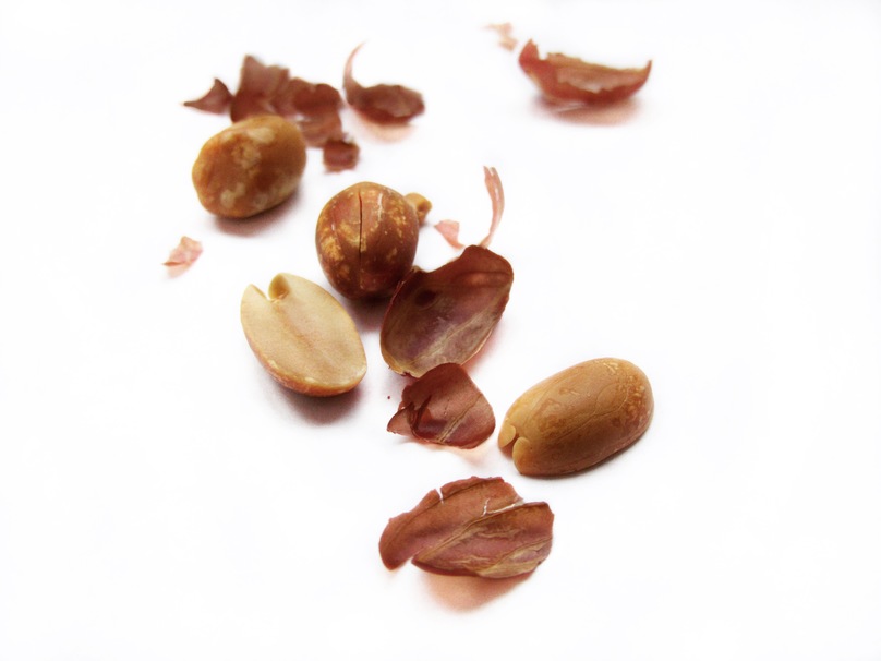 Peanut Allergy Patch hazelnut meat