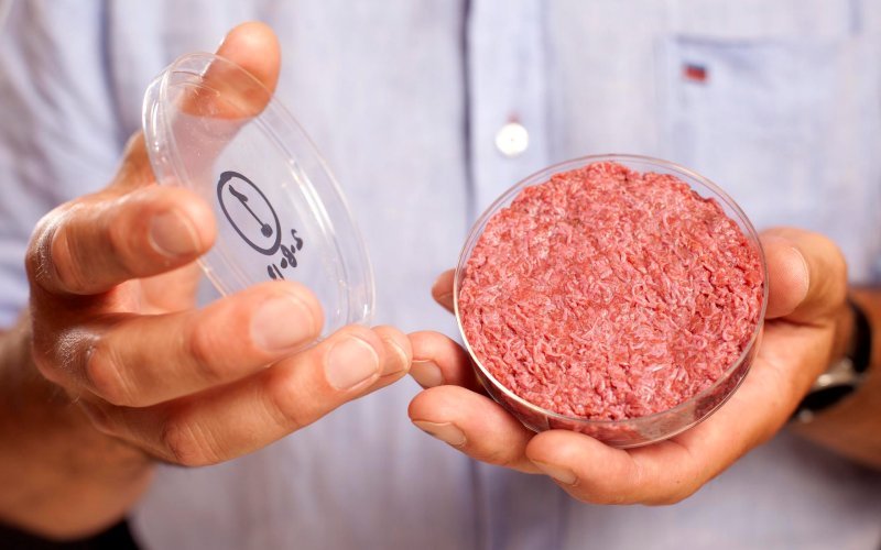 The Meat of the Future is Being Made in a Lab and Without Harming Animals