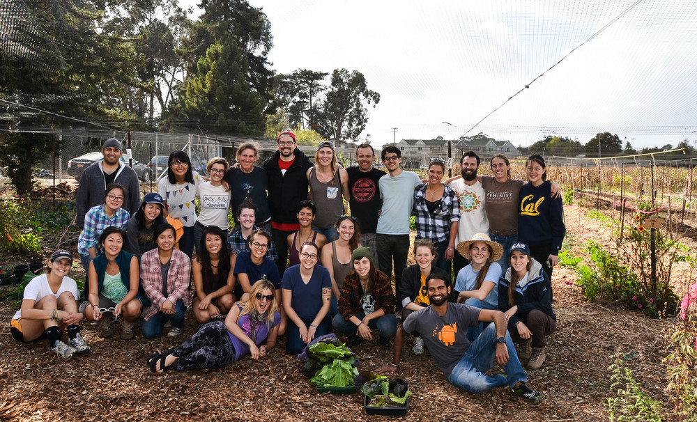Harvest Day by UC Berkeley's Fresh Produce Team