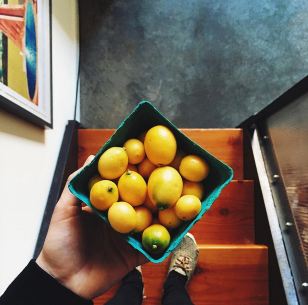 9 Bizarre Fruit and Vegetable Hybrids You Never Knew Existed