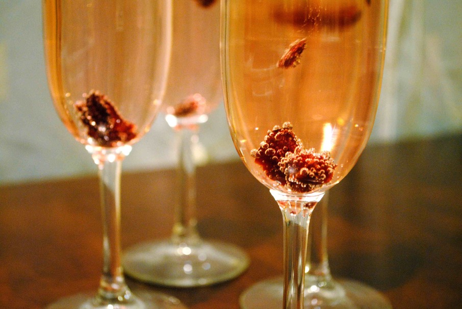 Dried Cranberries From the Bog to your Belly