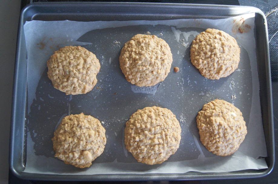 Chewy YogurtCovered Craisin Oatmeal Cookies