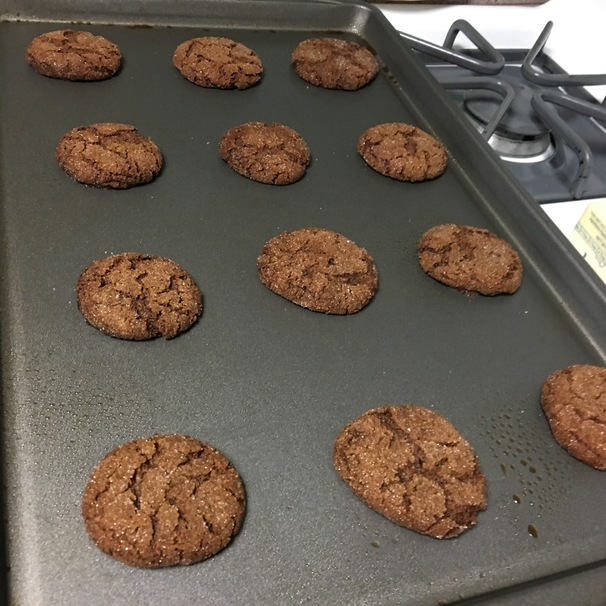 oatmeal cookie, oatmeal, chocolate cookie, goody, sweet, cookie, chocolate