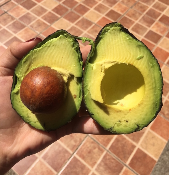 avocado