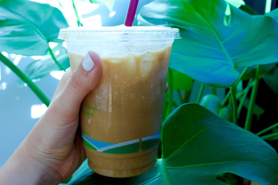 smoothie, juice, milk, sweet, ice, milkshake, cocktail