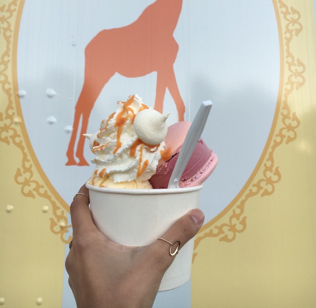 The Face Behind Cirque Du Sucre Kansas City's Ice Cream Macaroon Truck