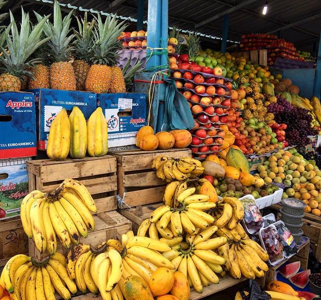 6 Exotic Fruits to Try on Your Next Trip To Ecuador