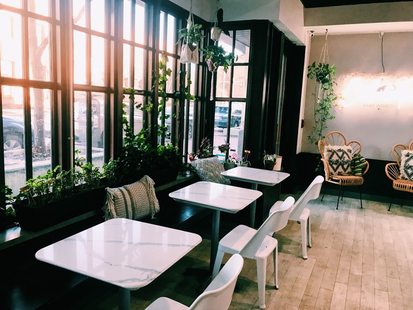 Teaspressa Ann Arbor's Instagrammable Tea Sanctuary