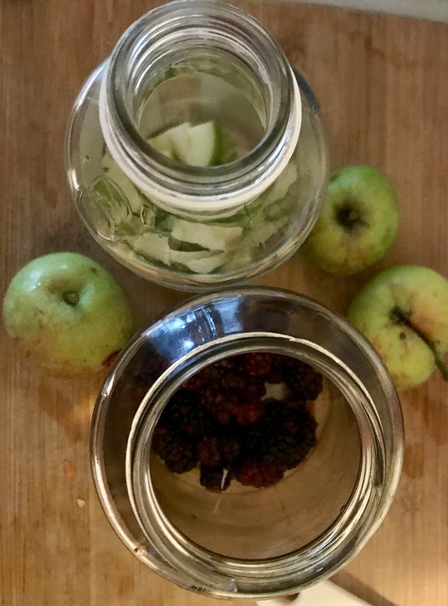 kombucha 