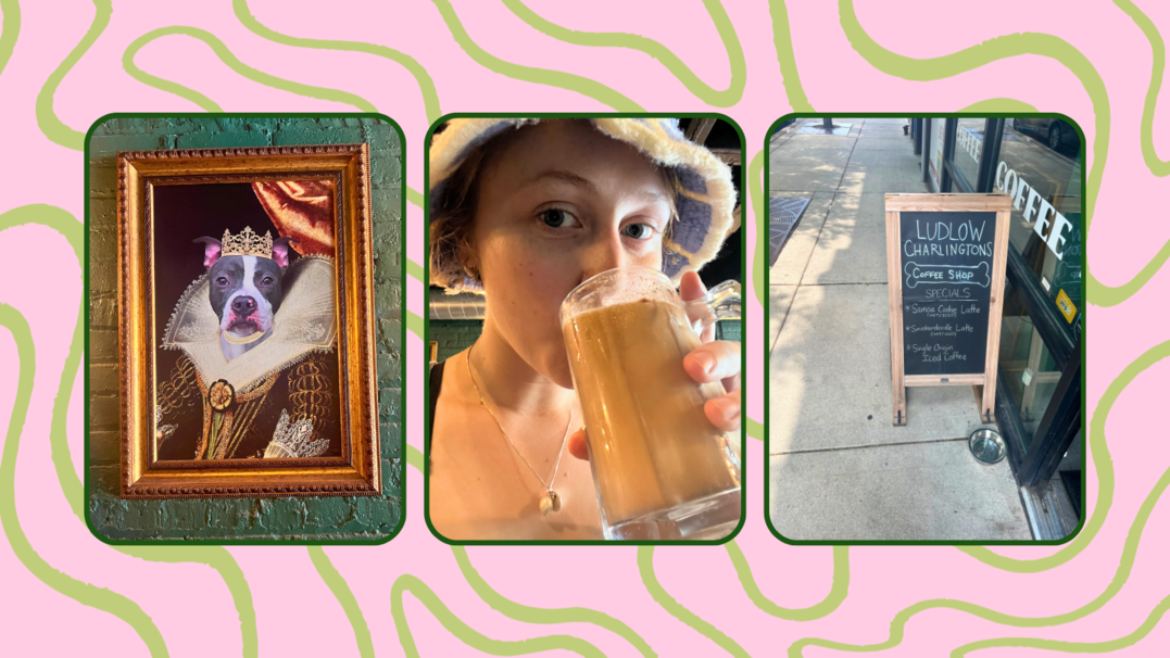 Chicago Cafe Ludlow Charlingtons Serves Pastries In Dog Bowls