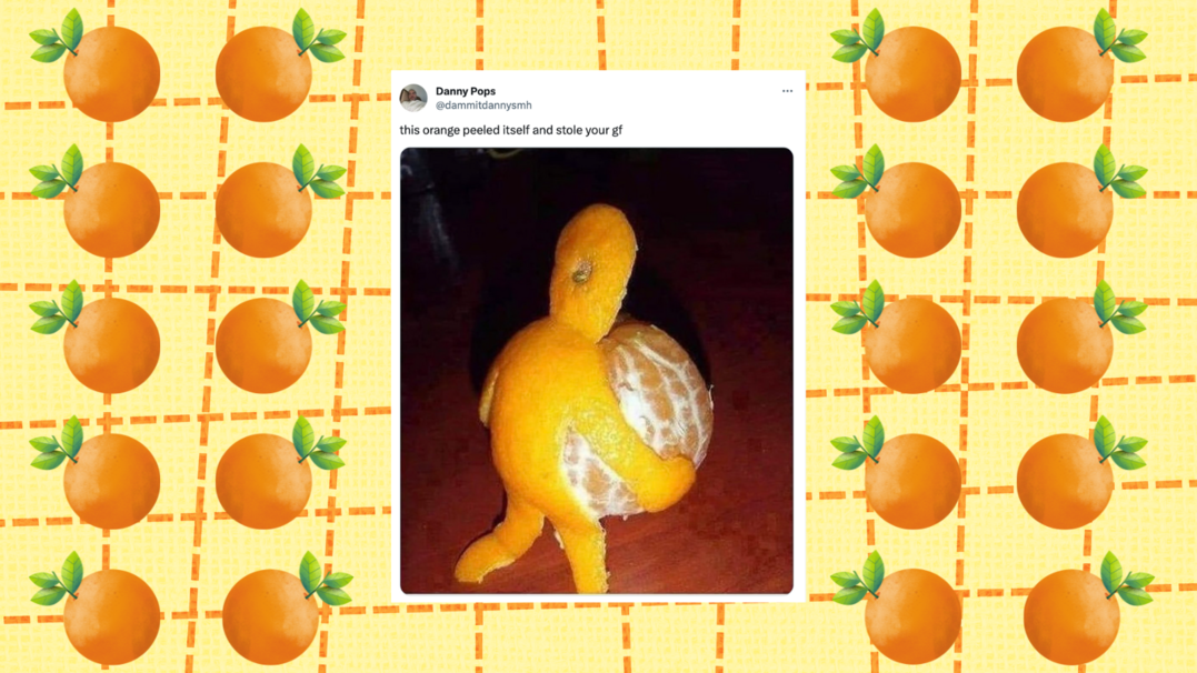 11 Orange Peel Memes To Give To Your Girlfriend