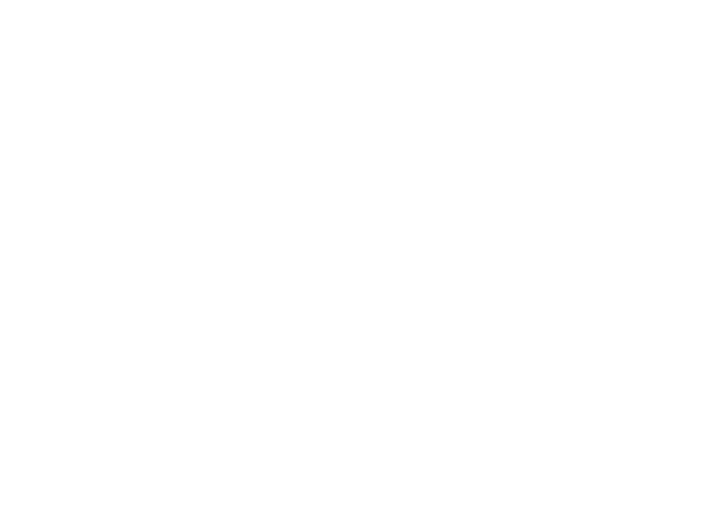 Lily Flanagan's Pub