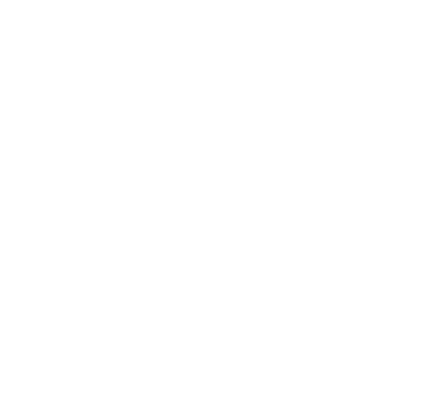 Pins Mechanical Co.