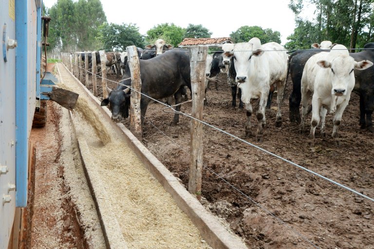 El Perú suspendió la importación de carnes de Colombia por fiebre aftosa