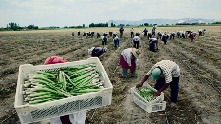 El Perú contará con agregados agrícolas en EEUU, China y Bélgica