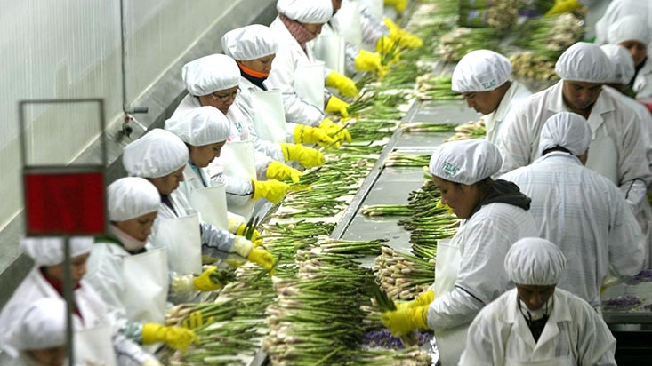 362280-agroexportaciones-superaron-los-us1900-millones-entre-enero-y-abril