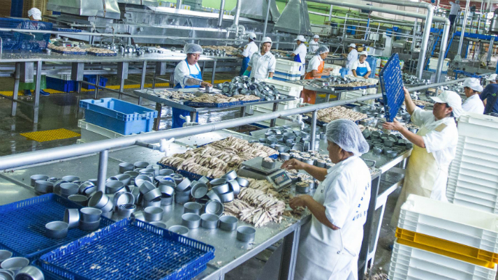 366756-exportaciones-pesqueras-crecieron-24-en-los-primeros-cinco-meses-del-ano