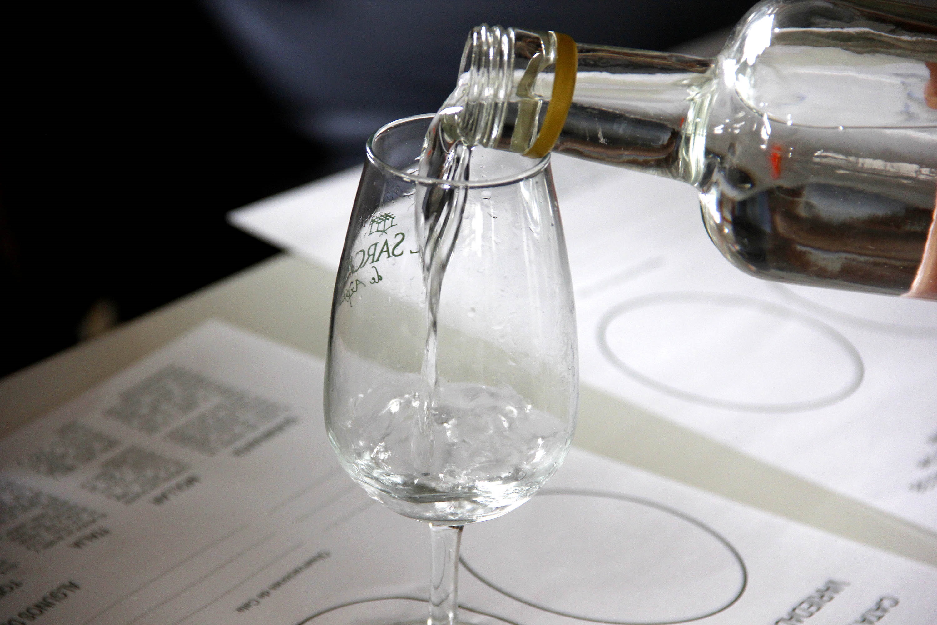 Sebastián Piñera propone que Perú y Chile exporten pisco juntos