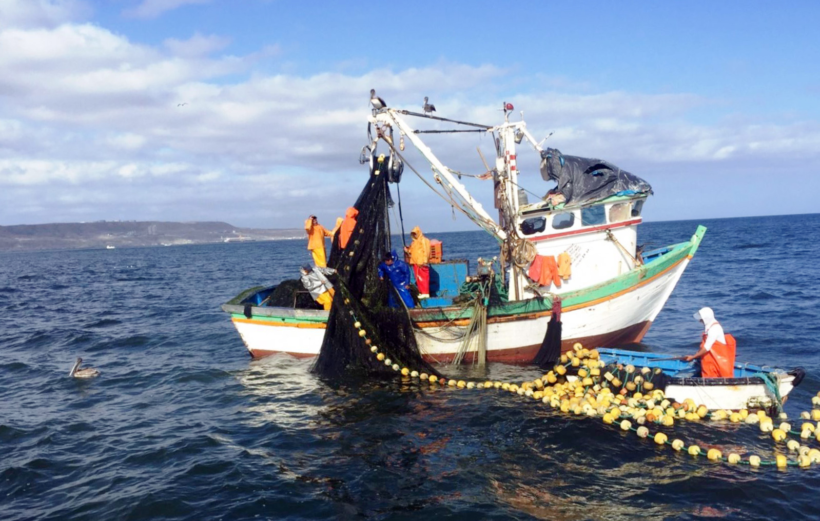 Produce destacó destitución de jueza que otorgó permisos de pesca