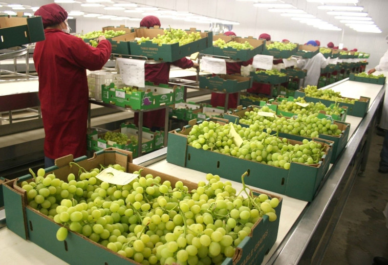 agroindustrial-beta-ingreso-a-la-bvl-con-emision-de-papeles-comerciales-por-s100-millones