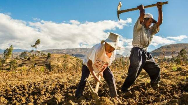 contraloria-detecto-productores-a-los-que-no-corresponde-el-fertibono-en-listado-de-midagri
