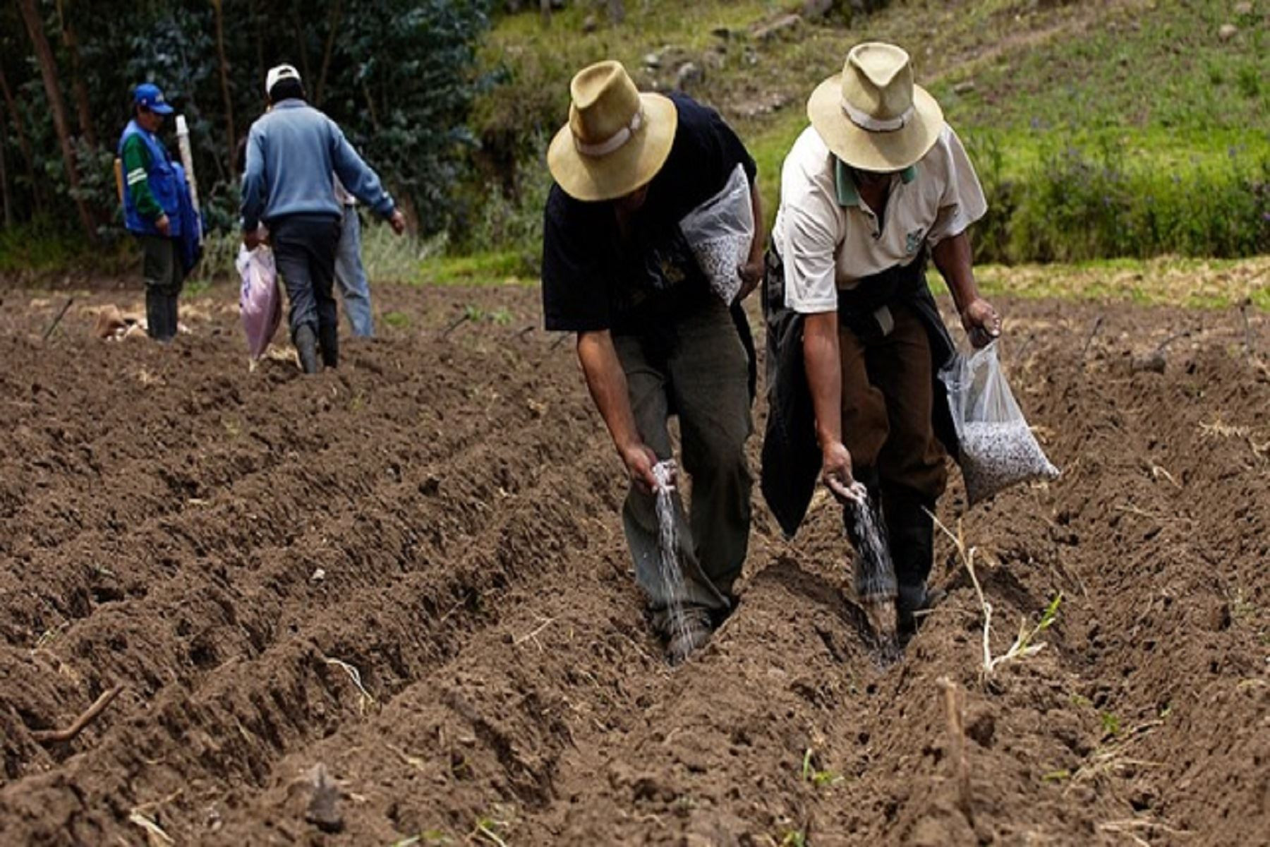 midagri-destina-s-148-millones-para-ampliacion-del-fertiabono-a-pequenos-productores