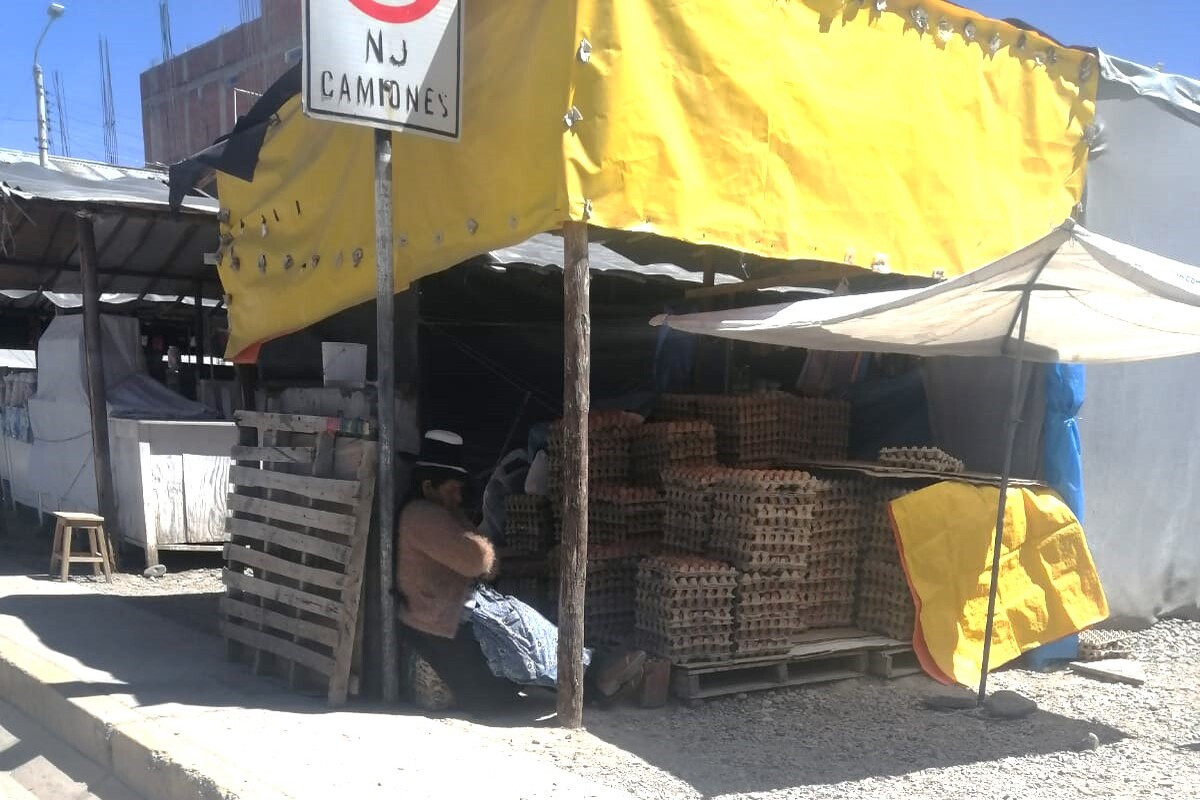 industria-avicola-contrabando-de-huevos-genera-perdidas-de-s-33-millones-semanales