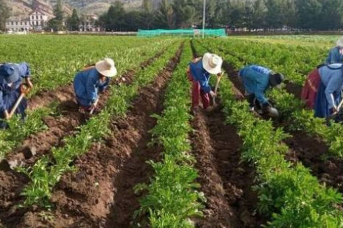 mtpe-crea-mesa-de-trabaja-para-promover-la-formalizacion-laboral