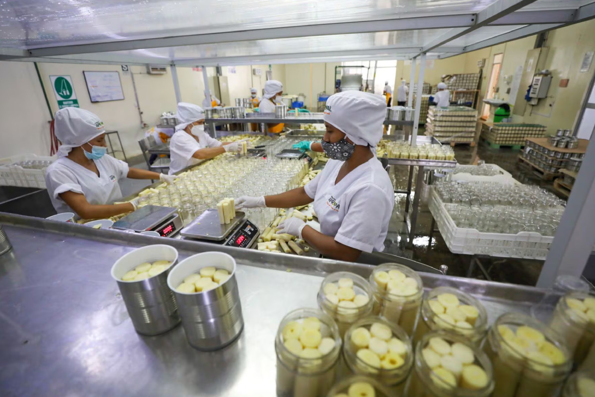 ministro-de-trabajo-el-gobierno-dejara-la-formalidad-laboral-por-encima-de-30