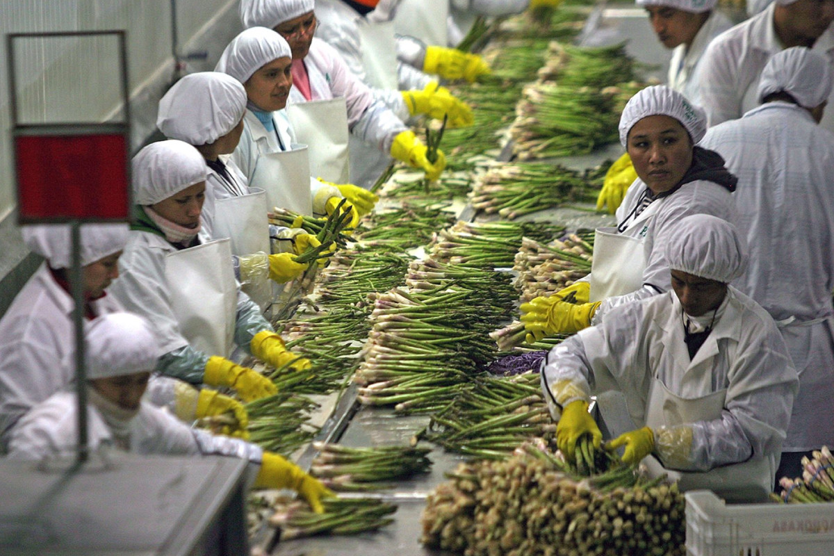 midagri-agroexportaciones-peruanas-crecieron-196-y-sumaron-mas-de-us8100-millones-hasta-agosto