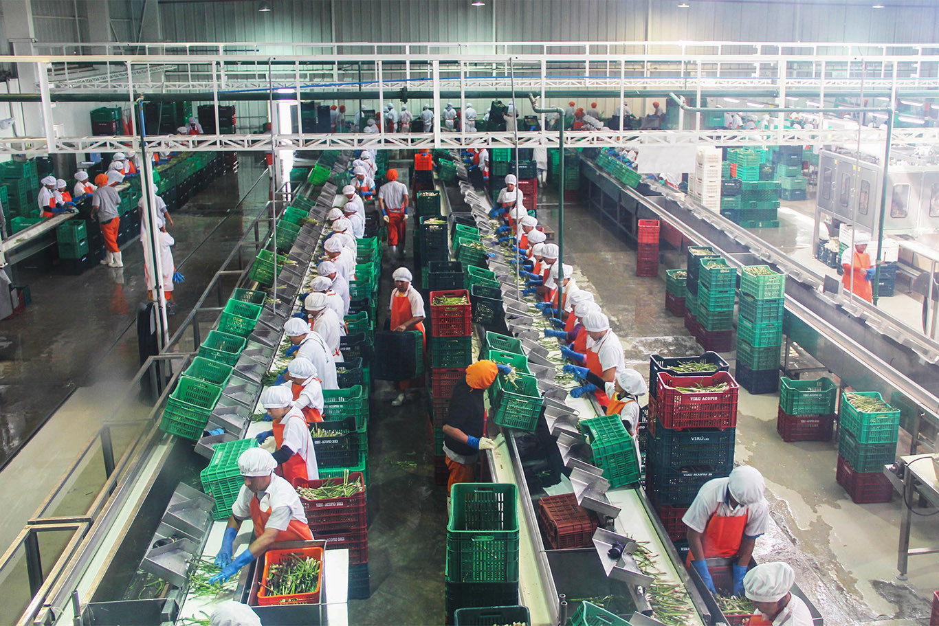 Agroexportadoras: las estrategias de última hora con las que buscan responder a la súbita caída de precios internacionales