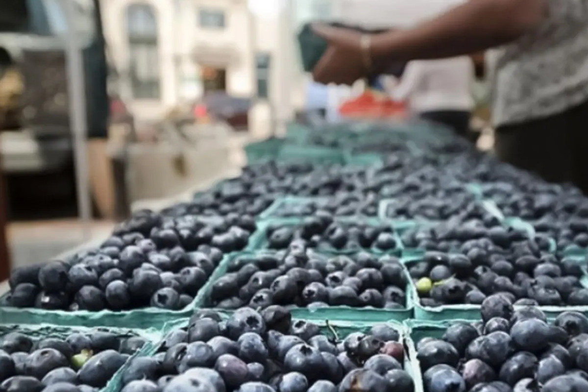 <p>Scotiabank: agroexportaciones a EE.UU. crecieron 21.6% entre enero y agosto, pese al arancel de Trump</p>