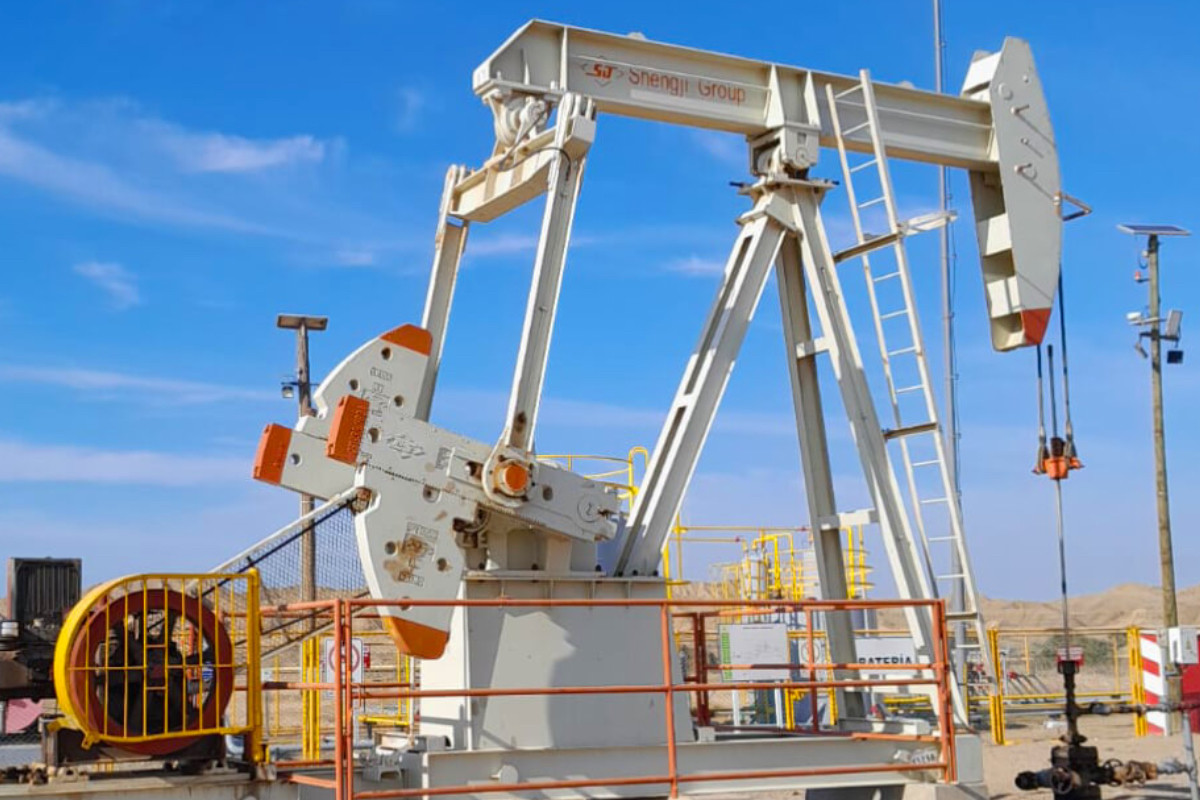 Lote VI: Perupetro no concretó firma de contrato con consorcio y ahora ...