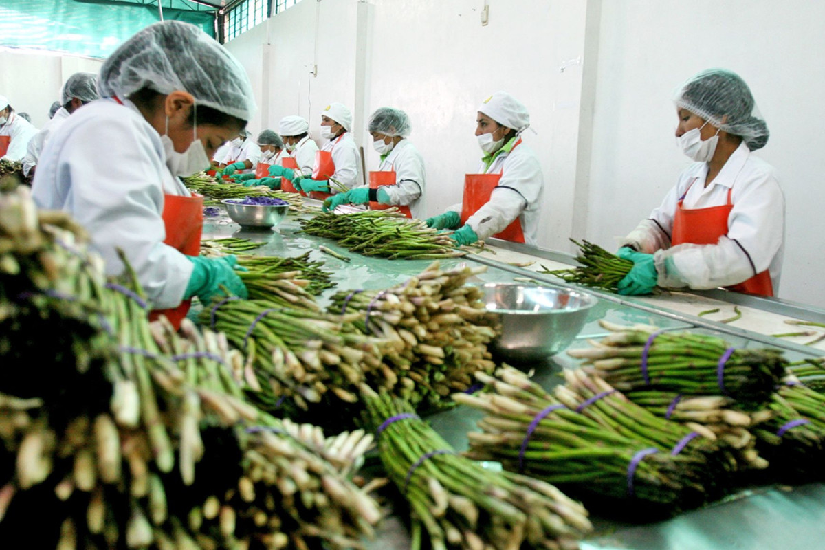 PBI crecería alrededor de 3.4% en el 4T25, según proyectó Scotiabank