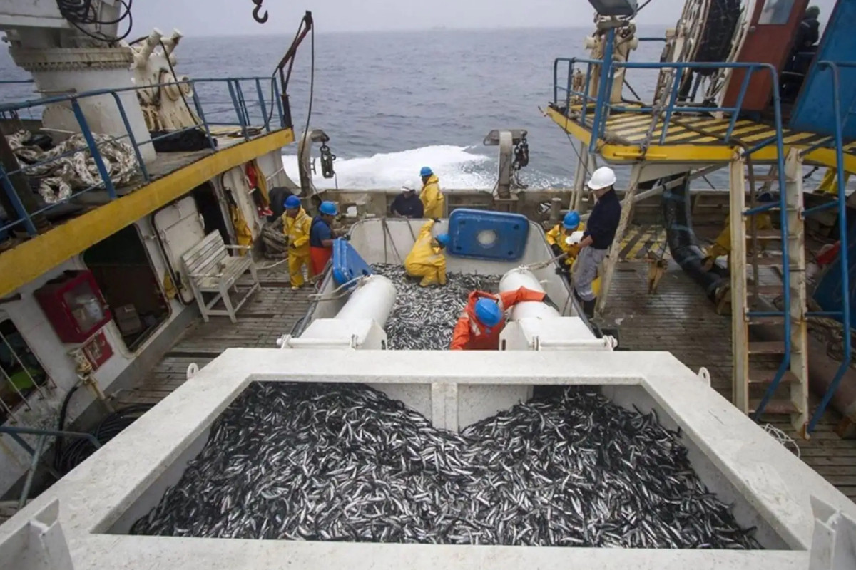 produccion-del-sector-pesca-crecio-2570-en-octubre-reporto-el-inei