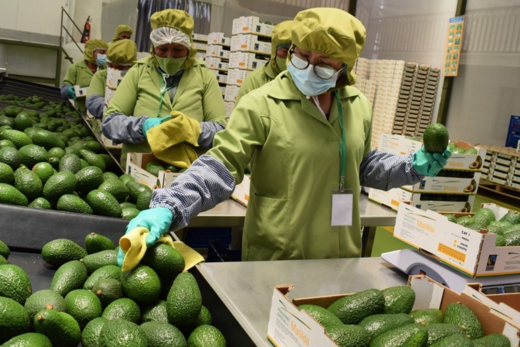 <p>El <em>boom </em>agroexportador continúa, pero con ciertas alertas para 2026</p>