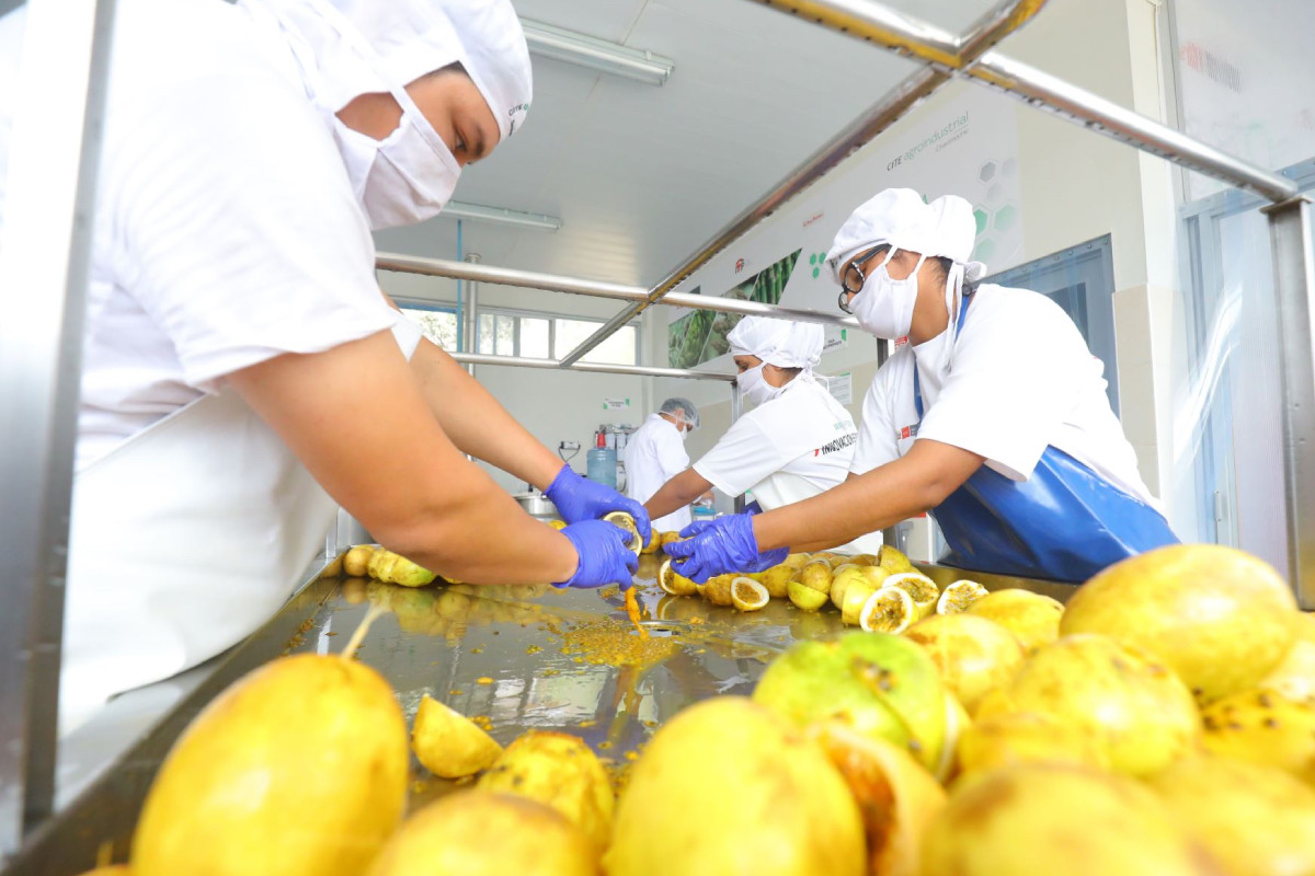 <p>Facultades legislativas: ley publicada excluyó beneficios para el sector agroexportador, pese a pedido del Ejecutivo</p>