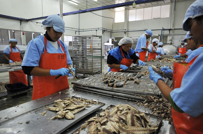 midagri-plantea-que-empresas-del-sector-de-alimentos-accedan-a-descuento-en-el-impuesto-a-la-renta