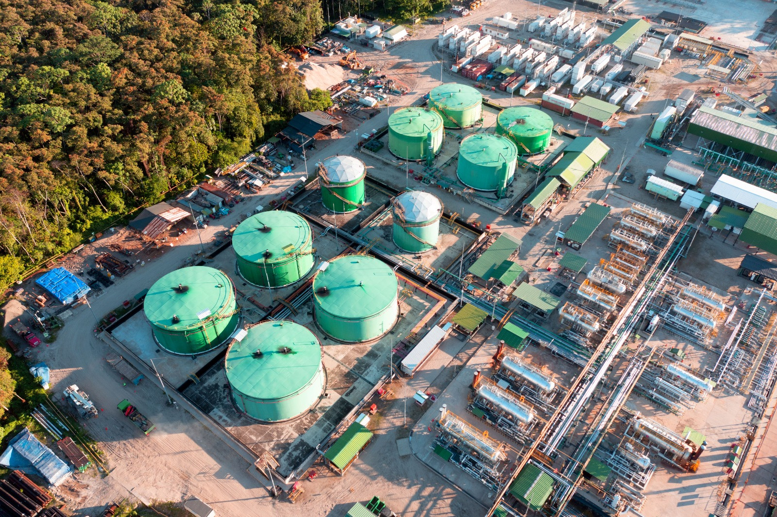 petrotal-produccion-crecio-92-en-2025-impulsada-por-el-lote-95