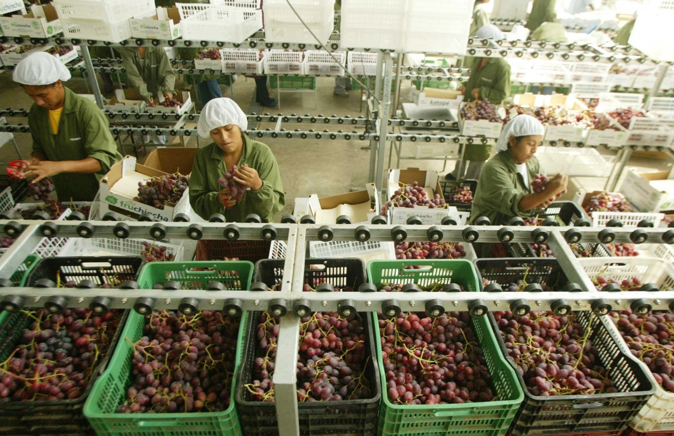 midagri-agroexportaciones-crecieron-175-y-superan-los-us13300-millones-a-noviembre