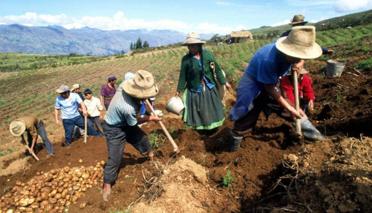 <p>Agro: las razones que moderarían el desempeño de la campaña 2025/2026</p>