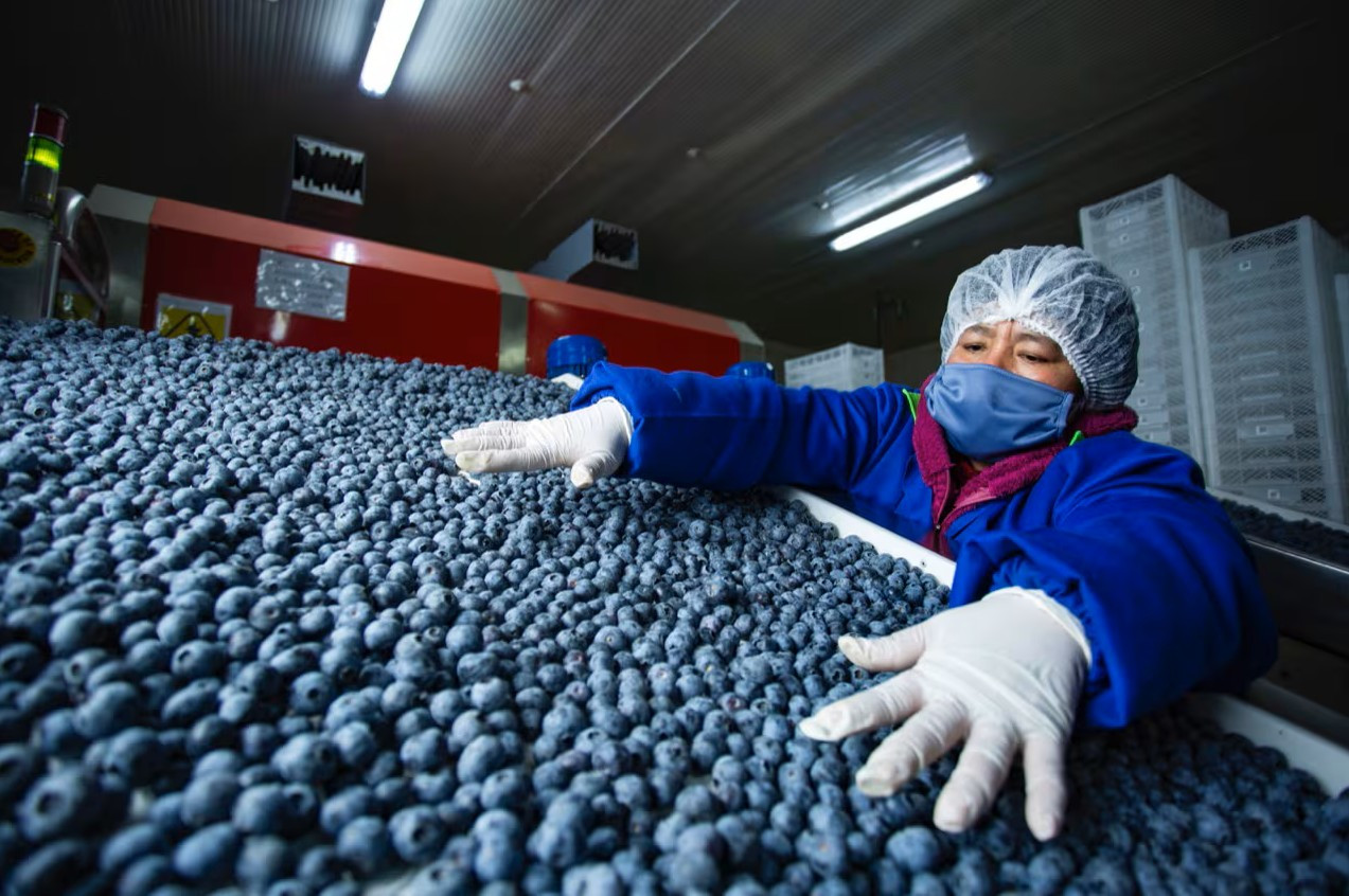 <p>Agroexportaciones peruanas a China: crecimiento histórico y nuevas oportunidades</p>