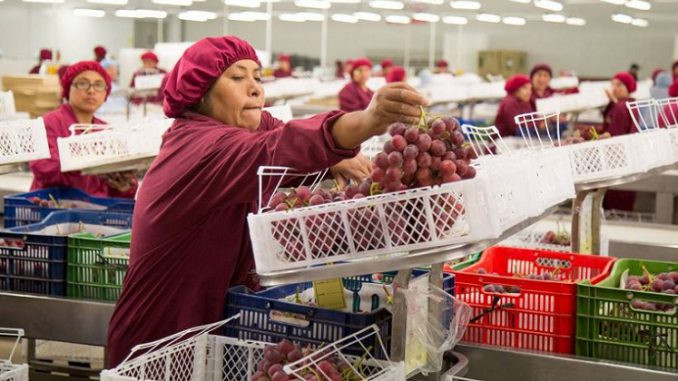 mincetur-mipymes-exportadoras-crecen-32-y-superan-las-6700-empresas-en-2025