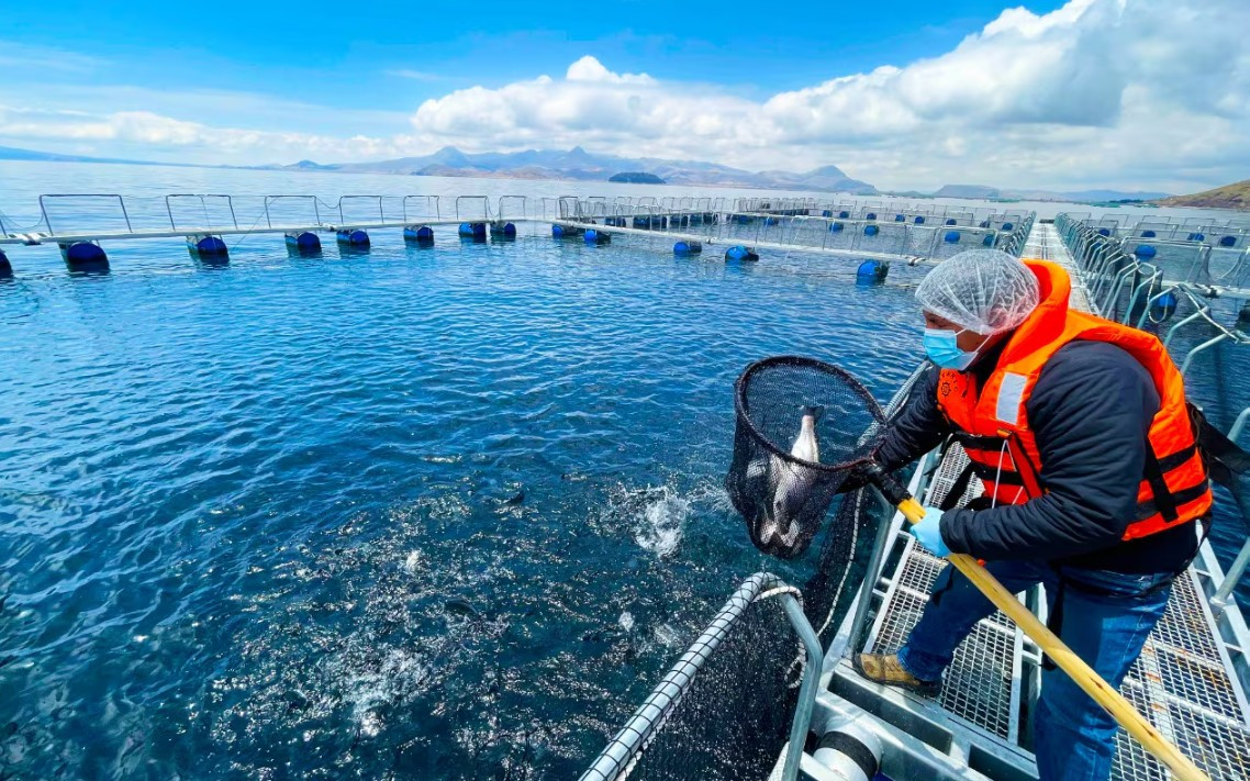 <p>Recambio varietal impulsa nueva fase de inversión en agroexportación</p>