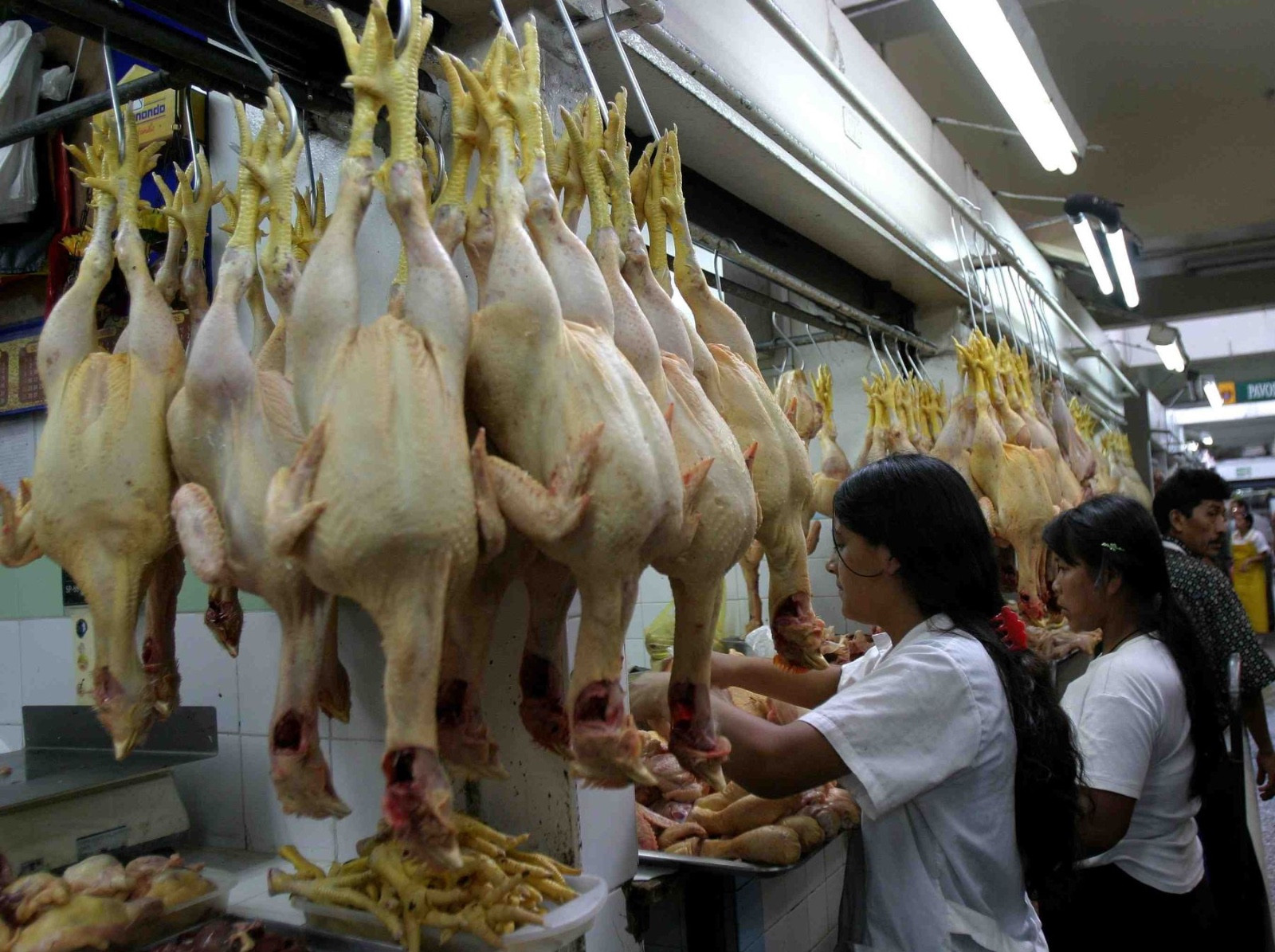 <p>Indecopi abrió un procedimiento sancionador a cinco avícolas por presunta colusión en precios de pollo vivo</p>